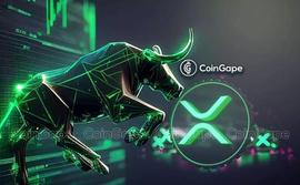 XRP:「崛起社区」XRP 多头到来发出链上数据信号_xrp币最新价格