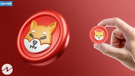 PAY:Shiba Inu 是格鲁吉亚可接受的支付方式_NAN