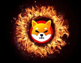 SHIB:Shiba Inu 烧伤激增超过 30,000%，14 亿只 SHIB 被摧毁_TOKE