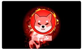 SHI:一天烧掉 4100 万只柴犬_txbcoin