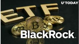 比特币:「崛起社区」贝莱德的比特币 ETF：顶级专家预见双赢局面_coinbase交易所官网中文版本