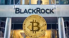 GBTC:贝莱德的比特币 ETF 举措将灰度 GBTC 交易量推至 8000 万美元_比特币