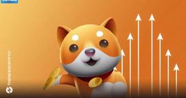 DOGE:Baby Doge Coin 回应以太坊优于 BNB 链的原因_DOG