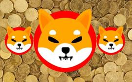 PEPE:美国政客称赞柴犬 (SHIB)，称“谢天谢地，我们不是 PEPE”_888币ship