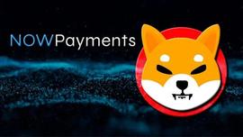 SHIB:Shiba Inu：NOWPayments 与 Shibarium 合作以促进采用_ARI