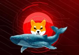 NFT:Shiba Inu 鲸鱼购买价值 330 万美元的 3120 亿代币：秒杀来袭？_FIL