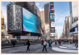 cardano:卡尔达诺：社交活动的激增会刺激 ADA 的价格吗？调查……_UADA