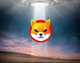 LUC:Shiba Inu：Shibarium 2023 年 5 月更新_luckchain