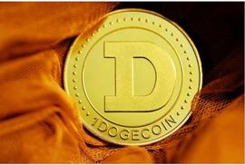 SHIB:TOADS、XMR和 DOGE：颠覆加密货币世界的不可思议的三重奏_SHI