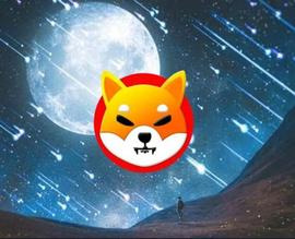 SHIBA:「崛起社区」Shiba Inu 在崩盘后恢复了 37%：SHIB 的看涨迹象？_Shiba Metaverse