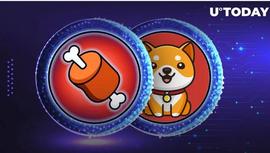 ONE:Shiba Inu 的 BONE 和 BabyDoge 代币成功上市_BONE