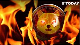 USD:本周烧毁近 20 亿个 SHIB，价格上涨 2.36% 作为回应_SDC