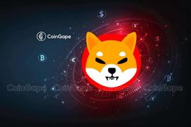 SHI:Shiba Inu 新闻：SHIB 首席开发人员宣布 Shibapendence 日_BONE