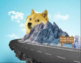 DOG:「崛起社区」狗狗币：8,000美元的投资在5个月内变成了 120 万美元_DOGE