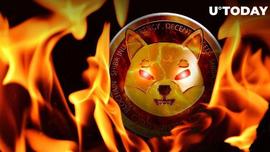 比特币:「崛起社区」柴犬 (SHIB) 销毁率上升 3,808%，以下是本周的前景_CRYP