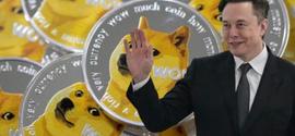 DOGE:「崛起社区」马斯克救市！发文支持狗狗币，DOGE强弹10%_DUSD价格