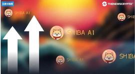 BAI:又一个Memecoin SHIBAI暴涨2000%，2023年会飙高吗？_YSHIBAINU