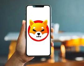 SHIB:「崛起社区」柴犬跌破前 20 名加密货币：7 天内下跌 17%_SHIBA