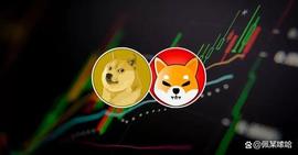 SHI:Shiba Inu 和 狗狗币Dogecoin 将引领下一轮牛市_DDOGE币