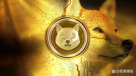 狗狗币:Shiba Inu：到 2027 年 +3.763%！为什么SHIB现在可以飙升这么高_DOGE