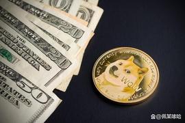 比特币:随着 DOGE 抛售的继续，狗狗币剧烈崩盘_MEME