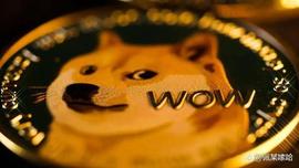 DOGE:狗狗币（DOGE）推出核心发展基金_DOG