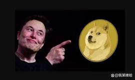 DOGE:周末观察：狗狗币（DOGE）暴涨 13%，BNB 突破 300 美元_Support Doge