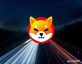 300:「崛起社区」柴犬：2200 美投资的 SHIB 在 24 月内变 2300 万美_ARB