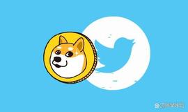TER:马斯克：“破产并非不可能”——狗狗币（DOGE）会受到影响吗？_TWI