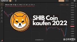 SEC:Shiba Inu分析：柴犬(SHIB)我们是买还是不买？_INM