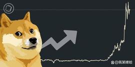 狗狗币:狗狗币DOGE本周涨幅超过110%，登上加密货币领奖台上的第 8 位_加密货币行情软件