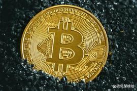 QUA:与 QuadrigaCX 相关的 170 万美的比特币在多年休眠后被重新唤醒_quantum-assets