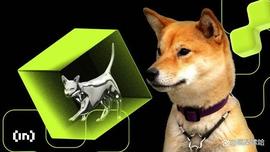 SHIBA:柴犬：为什么最大的以太坊鲸鱼一直持有 SHIB？_FishingTown