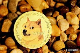 ITT:狗狗币 DOGE 价格上涨，因为马斯克先睹为快 推特 2.0 的雄心壮志_BitterFly