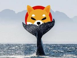 SHIB:Shiba Inu (SHIB)：一头以太坊 (ETH) 鲸鱼醒来并加油_SHIBA
