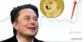 CHA:马斯克转出3 亿颗狗狗币？Lookonchain：大涨8%拉价巨鲸就是他_马斯克买了30亿美元狗狗币
