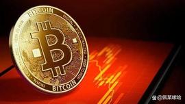 BTC:比特币鲸鱼会在寻求收回 25,000 美元的过程中发挥作用吗_ANT