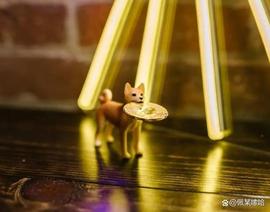 BTC:比特币（BTC）、狗狗币（DOGE）预测在 2022 年不会盛行_今天狗狗币最新消息