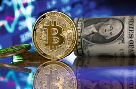 比特币:美联储加息50个基点后，加密货币市场暴跌_FTX