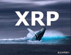 STA:XRP 鲸鱼开始疯狂增持，这会引发价格上涨吗？_ARK