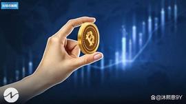CHAR:比特币 (BTC)在 Pierre Rochard 的声明中从 2020 年的灾难中崛起_ERO