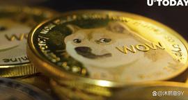 ANC:随着 DOGE 价格下跌购买了 3.5 亿狗狗币，提供了逢低买入的机会_Tomatos.finance