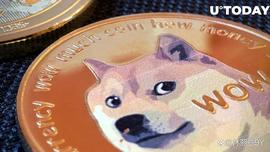 TER:Robinhood 钱包中持有四分之一的 DOGE 供应量——数百亿狗狗币_iTRX价格