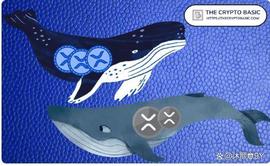 ripple:由于价格风险跌破 0.40 美元，Ripple 和 Whales 转移 104M XRP_Metaple Finance