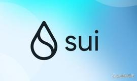 TUSD:SUI上线瞬间爆冲2000%！中国大佬徐总：承诺补偿所有受害买家_suia币创始人