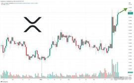 SEC:XRP 价格预测——鲸鱼是否在诉讼结束前购买 XRP？_secret币币交易