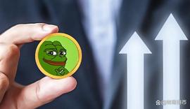 DCON:PEPE 的过山车之旅：从历史最低点到新的里程碑_PEPEF