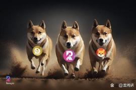 SHIB:Doge vsRENQ vs SHIB，谁将使市场向上升趋势倾斜？_加密货币