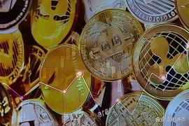 SHIB:Shiba Coin:山寨币中的后起之秀_加密货币