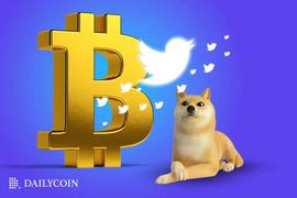 TTE:Twitter 推出 BTC 交易所？狗狗币价格下跌 4.2%_TWINU价格